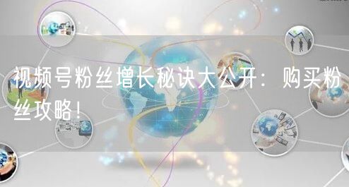 视频号粉丝增长秘诀大公开:购买粉丝攻略!