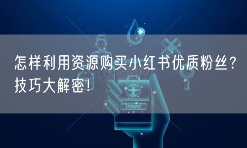 怎样利用资源购买小红书优质粉丝？技巧大解密！